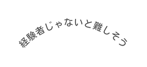 経験者じゃないと難しそう